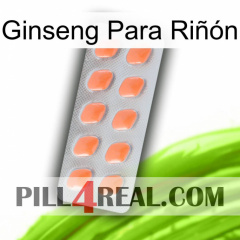 Ginseng Para Riñón 26